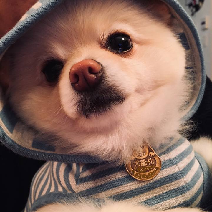 0c2fe416 3cc4 40a8 ace3 f18b43a15536 1556537846553