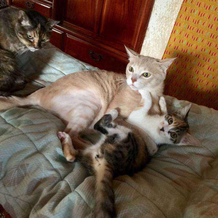 0c300d28 f815 4781 8a40 d53d9fd1e91b 1635295831355