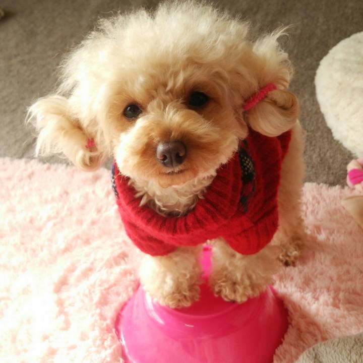 0c301330 25e3 4569 b2a0 518e3c08d27d 1516871635073