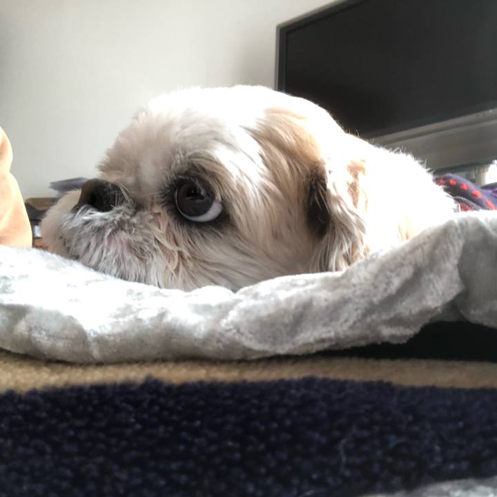 0c306671 4524 4c22 8fe9 8a1d44e8aaca 1609638323930