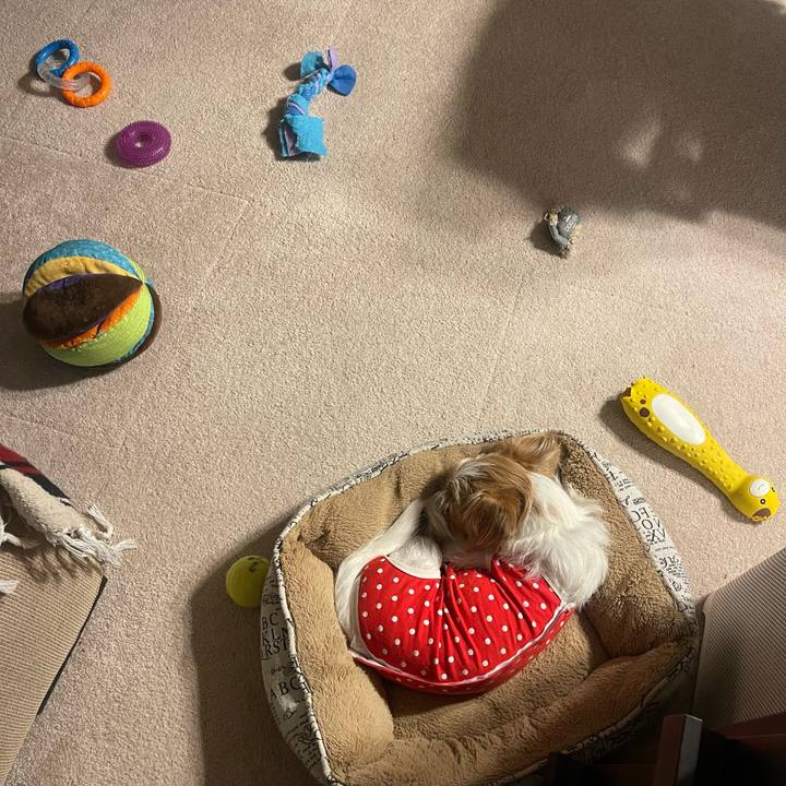 0c307562 f794 4713 a942 ee5739baa206 1759585982187