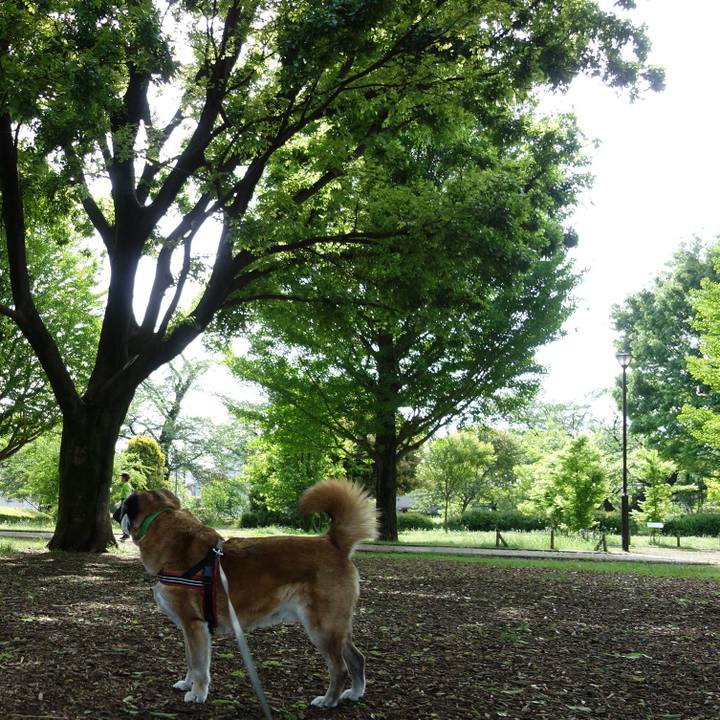 0c308dd1 5ea9 45c5 9b68 5014abfdc9f0 1557017216666