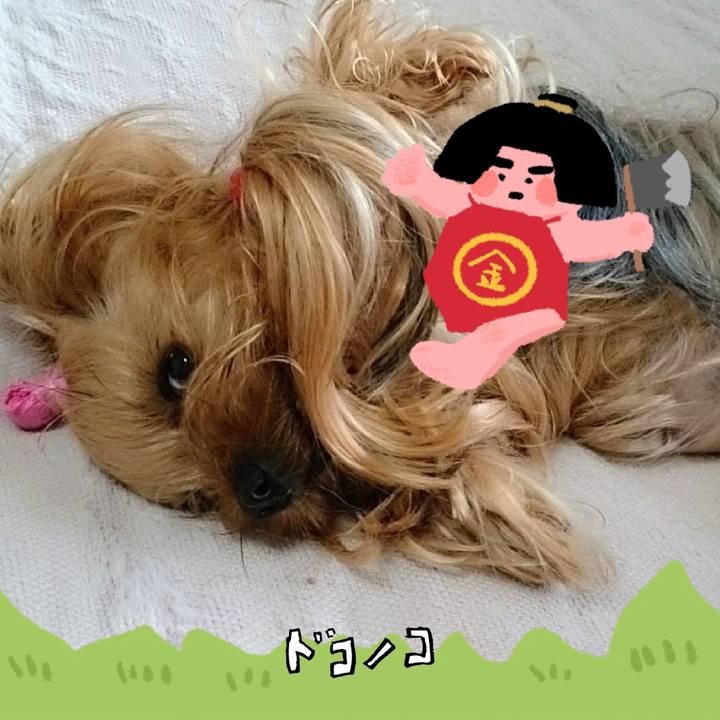 0c3090ac 963c 4e2d b792 d5ebbb6c5042 1779603726454