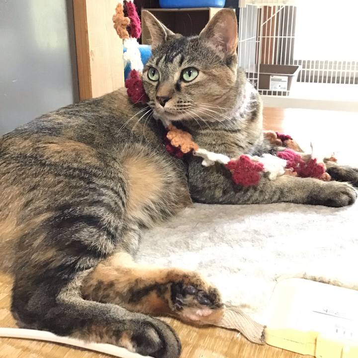 0c30a817 f955 4ea4 bc1a 9d8c9b8334a2 1655097395559