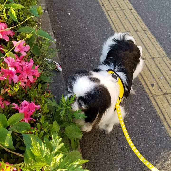 0c30d219 93c0 4342 ae6f 0a923518419d 1526944051383