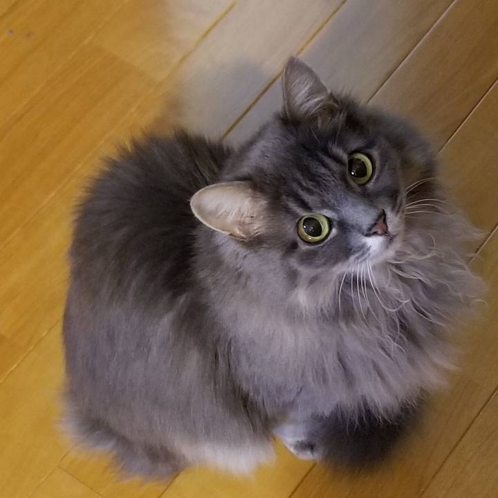 0c30e613 2d6e 4ad4 bfac 775255a870d0 1576665779999