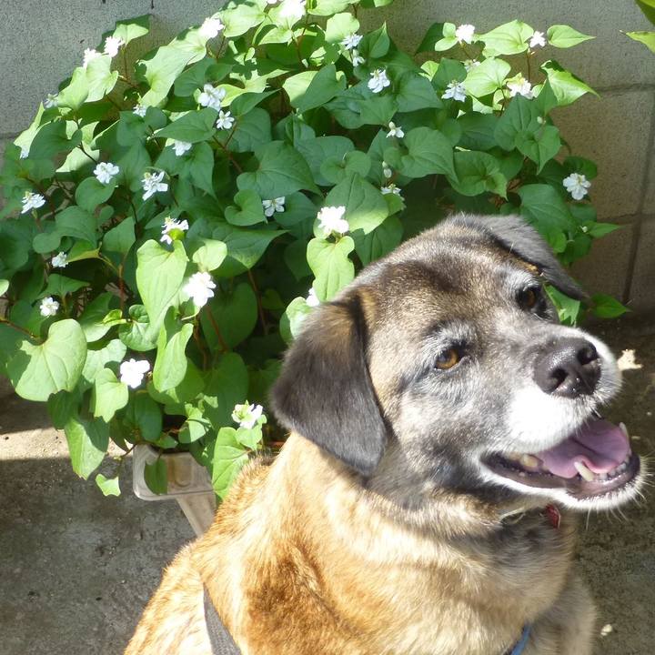 0c30f82e 7ad1 418c 82a2 49661c64d57a 1580001932555