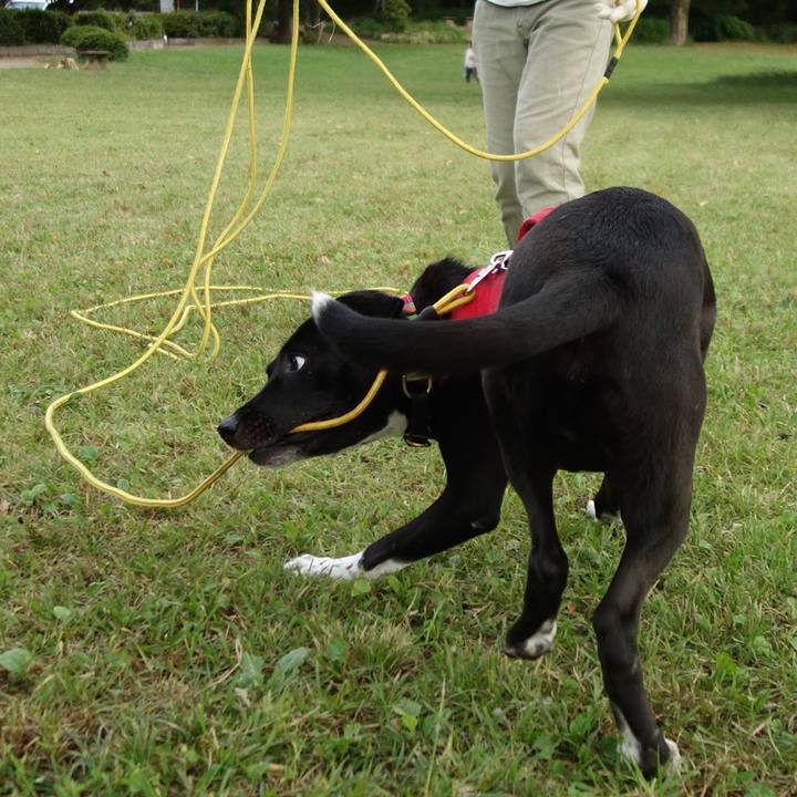 0c3124d4 17f5 4469 bcb3 dcfd44757b6f 1601942162472