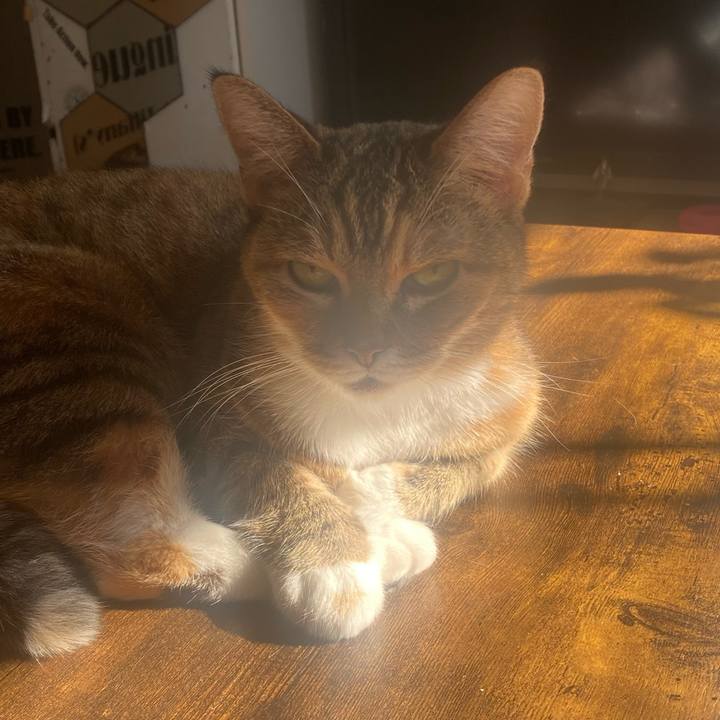 0c312740 e18c 4a27 a300 b72b2b515ebf 1763794358475