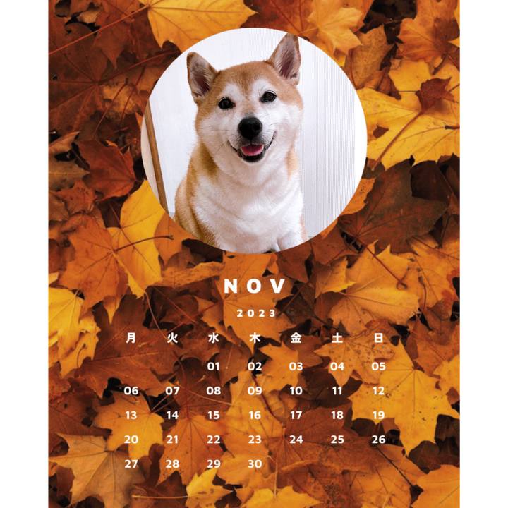 0c3127c5 c463 41bc 87f3 a0db9b4c47da 1699367890362