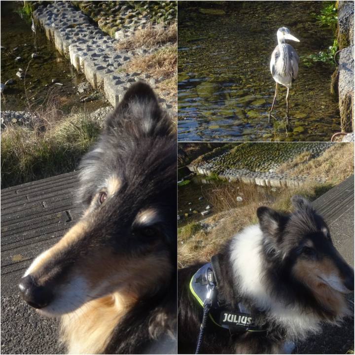 0c317925 b4b7 40be 9baa 010b0d985b70 1613044358746