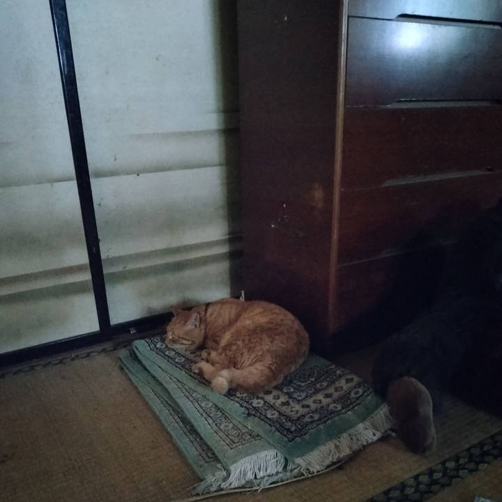 0c317c95 38ad 4e47 a1f0 f3cef8a2d1b4 1691217740200