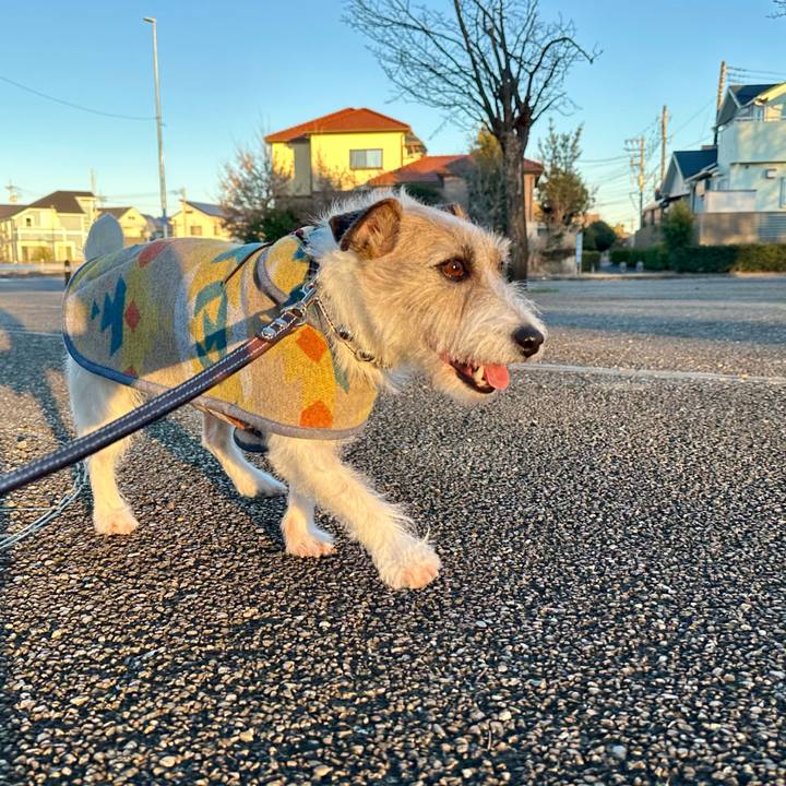 0c318d54 df13 4cc8 86bc 93cbe3a53ced 1739052088365