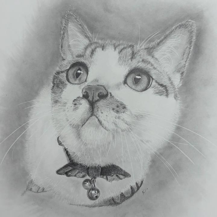 0c31deed b10a 41ed 99b6 06173184f440 1772696097143