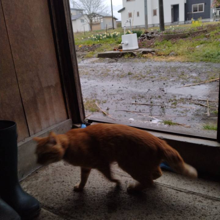 0c31f3d2 1615 4b0d bf4b 6a8b782d7db7 1682463858864