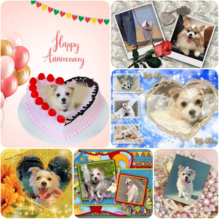 0c3211c2 2499 4ee6 85ae bf1167252be5 1624137720397