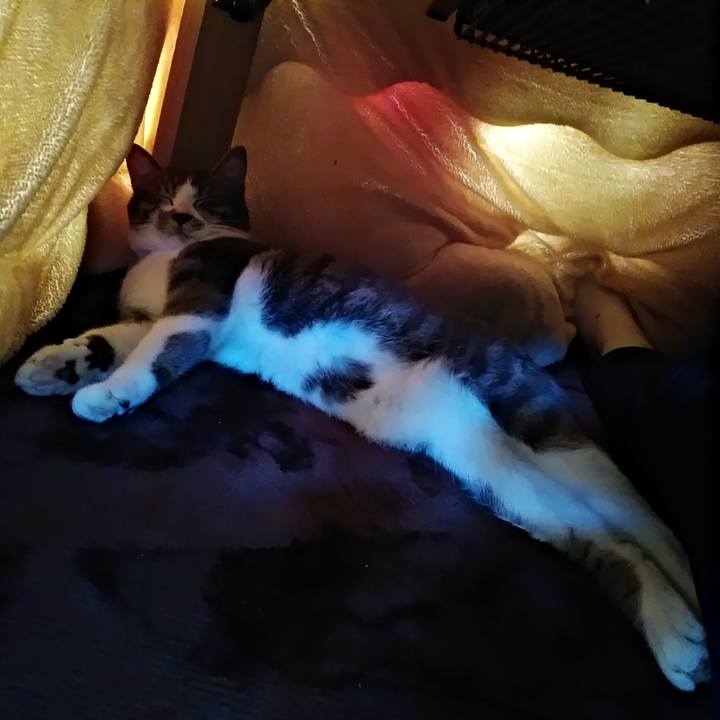 0c3217ca 9416 41d8 b5ee dad6b78fc728 1579576371995