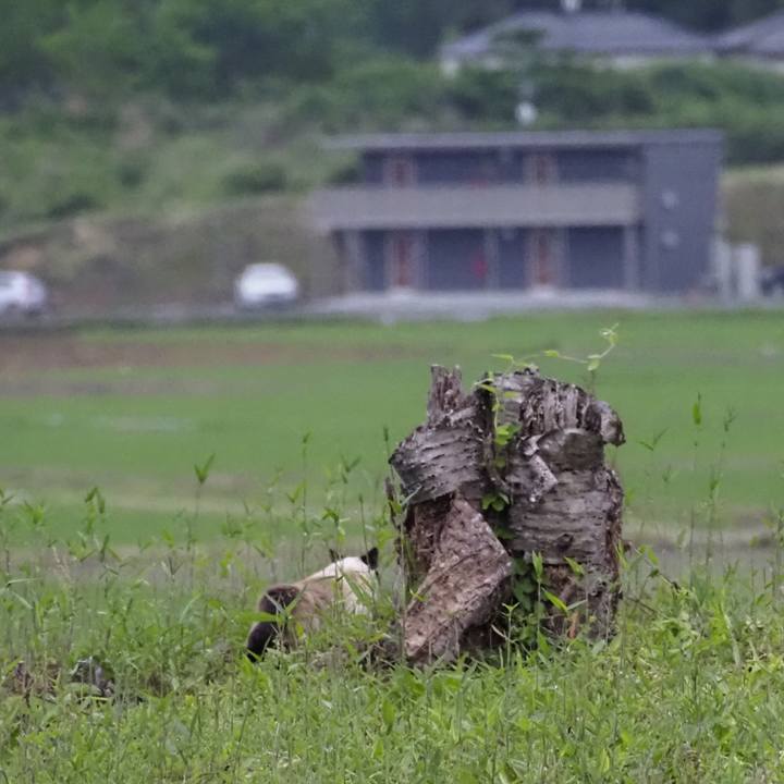 0c3294ec b70c 41ab af38 7391af46c9e7 1623754272510