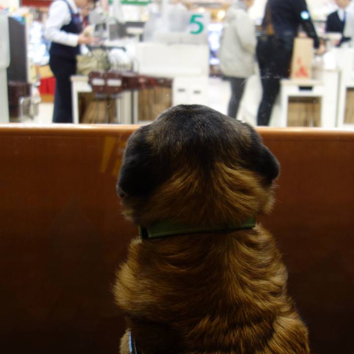 0c329791 a873 421c ac5b 0605f300a46f 1654129526777