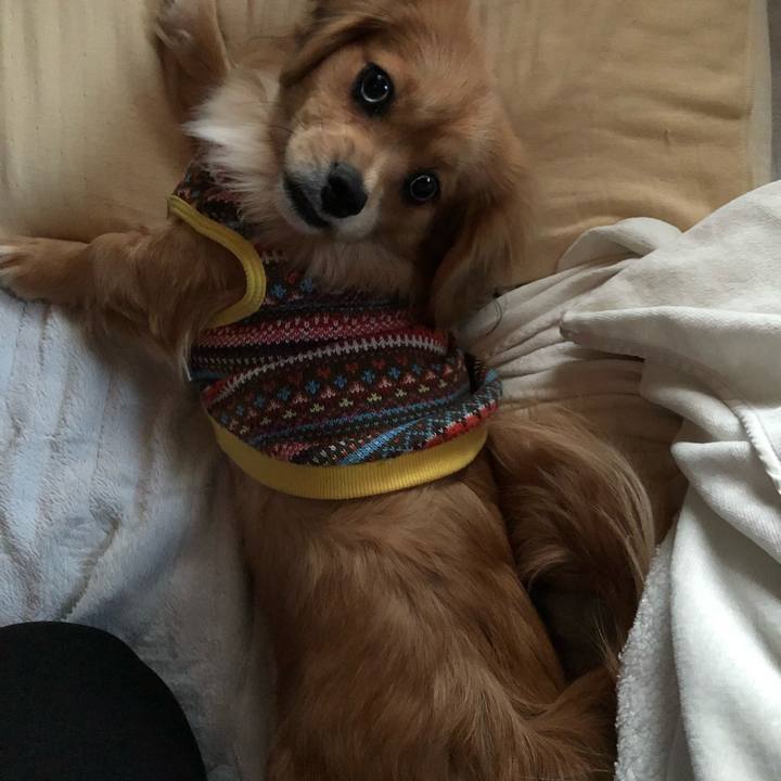 0c32ae29 25f2 4a20 b5bd 50433af8ca8c 1516487736043