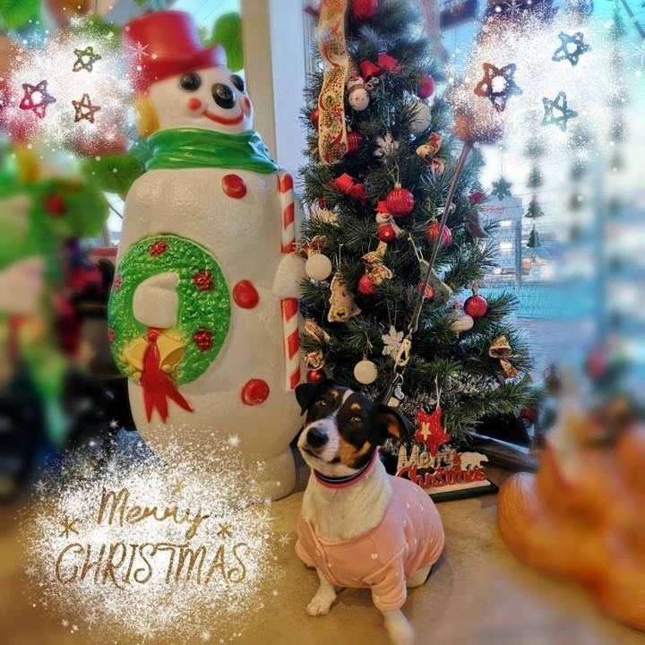 0c32b54d 6d09 4971 91d2 3785264081d5 1640319699402