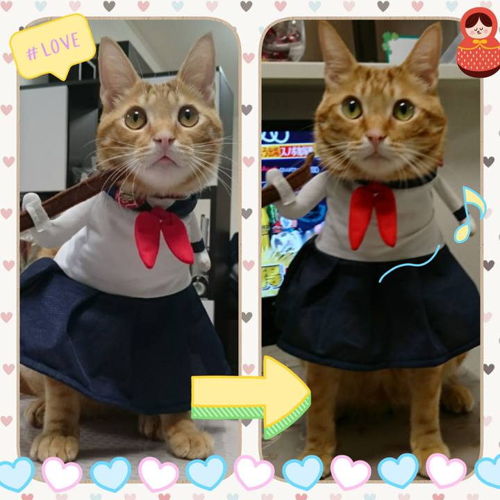 0c32c286 cf2a 4f1b b386 a0f8eae47c71 1518606299670