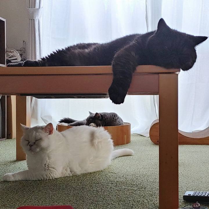 0c33021d 9f81 4626 9ecf 9de6935ff6f2 1631338225775