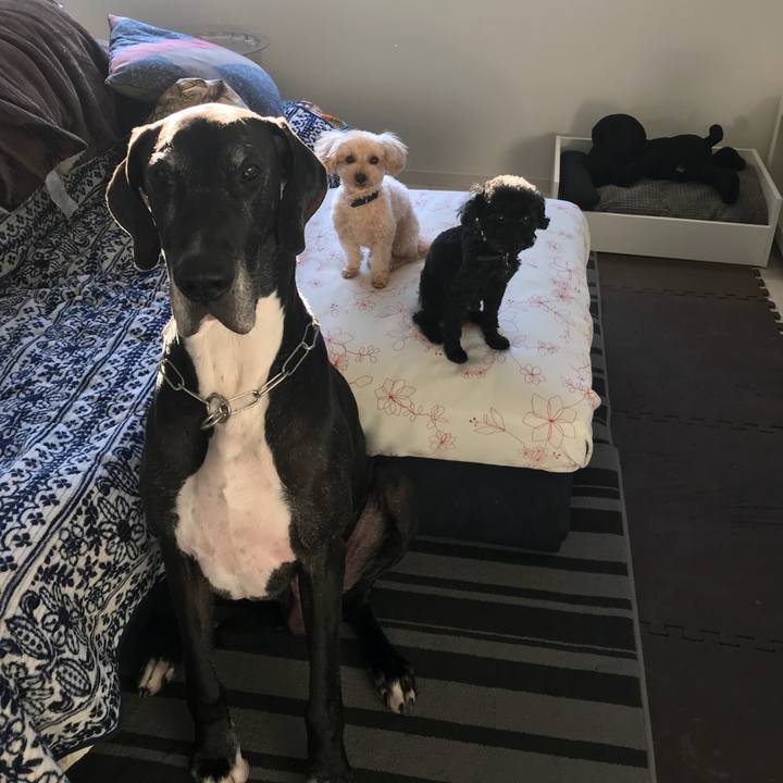 0c33d186 f8c6 49cf 8bc0 604ff0b7cdd7 1515019253478