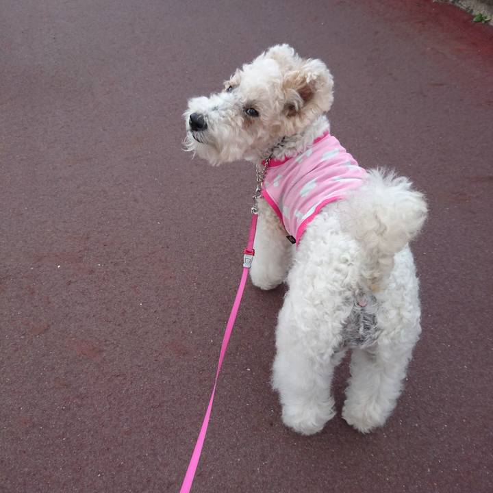 0c3413ab 884b 44e2 a9fe acee6ee55798 1527844221021