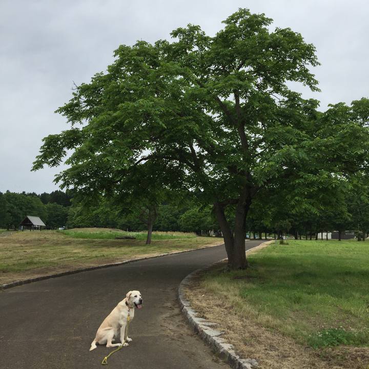 0c342087 7a08 4c58 a19f c65b42cecca6 1527040024371