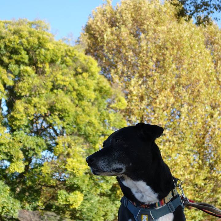 0c343804 78ad 4b57 a569 0ab77dc80a9c 1732926358059