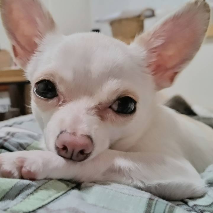 0c34728b 960a 4678 8762 c48390a59c54 1718971801787