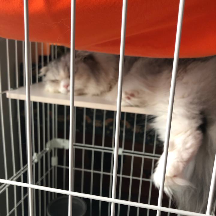 0c34a0b7 0bb6 4ad5 8310 fb37e41dbd68 1694382822613