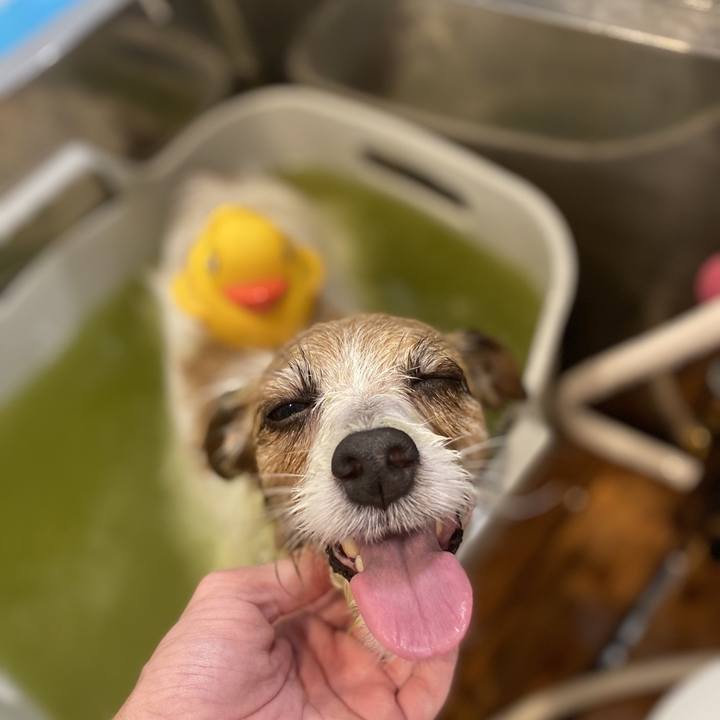 0c34a672 6d5f 43c1 8941 91de2fbc3439 1730959799541