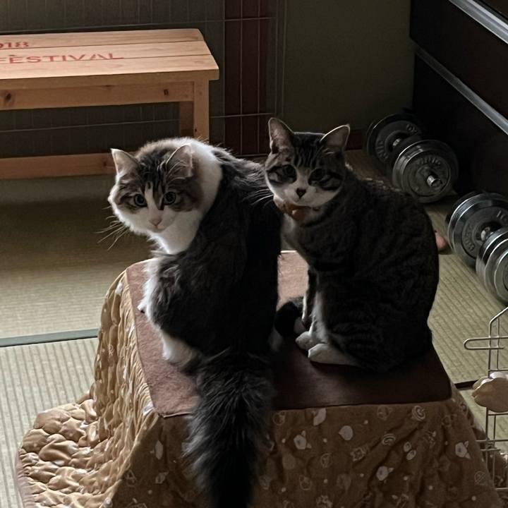 0c34b4fa f1f2 4f7e 9fe7 dd63d7ff58c8 1704538387870