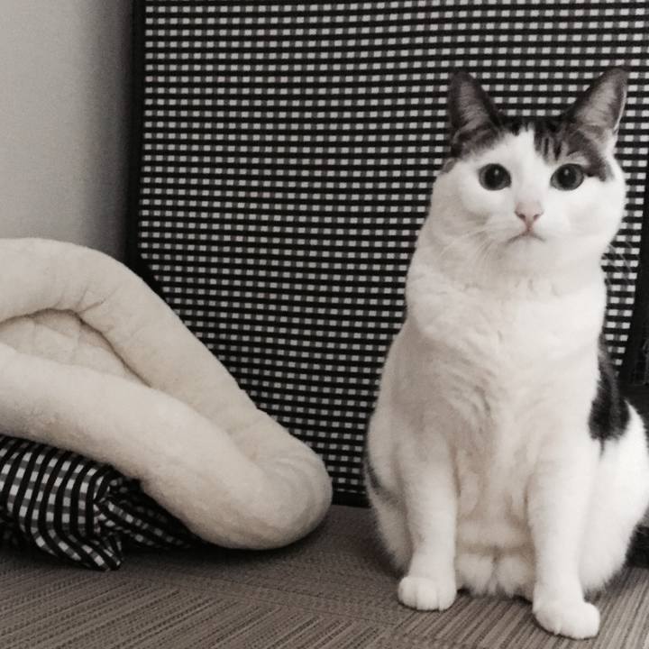 0c34c9ec 8495 429b 8b65 6213f7e874b8 1515505571146