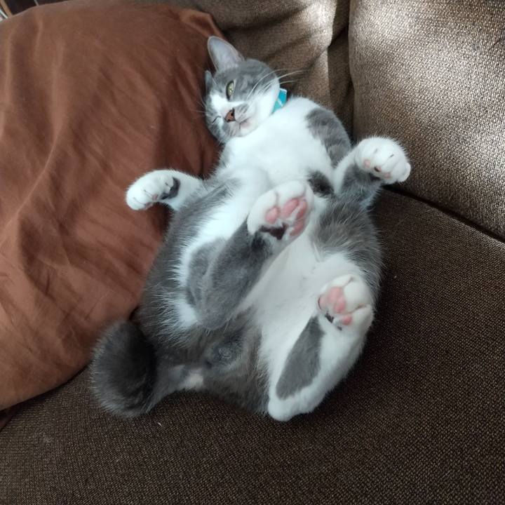 0c34ede7 8bc0 4359 bfd9 2be6850f238d 1641618275622