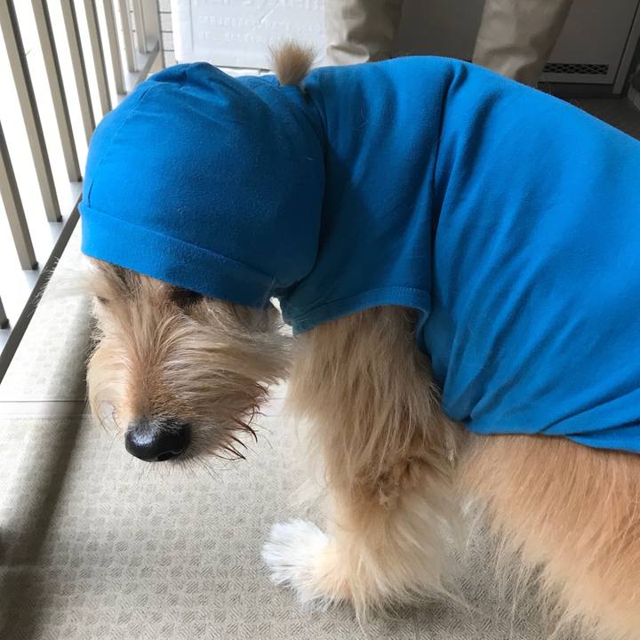 0c350714 8f75 4848 b281 3a65c8738848 1529117295699