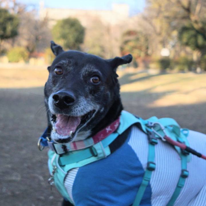 0c35355f 0e8d 4293 b84d 214f0d4b0ca1 1769651921986