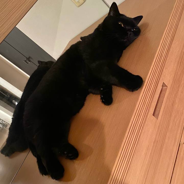 0c35374d e5fa 4330 9a93 13c9e5b55a2a 1757858120986