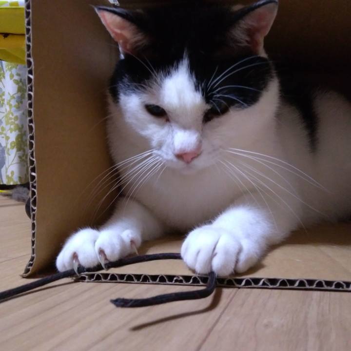 0c353d11 efe9 4d11 8a3f 39e53c47bdaf 1532430319070