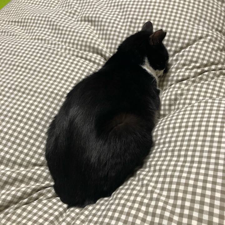 0c354838 0e40 4836 9f00 6339558e4154 1544850331785