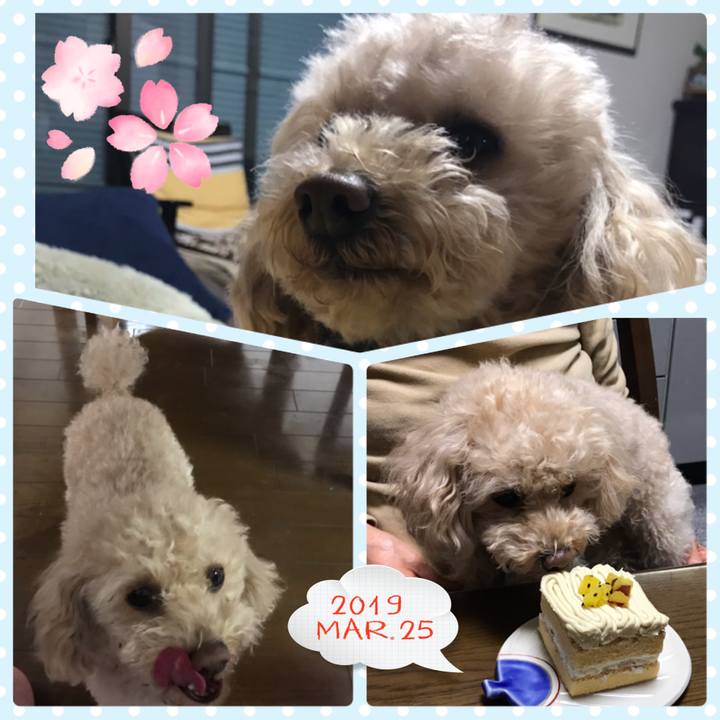 0c35656c 2ca3 47ec bde4 1f02cbe91313 1553513983186