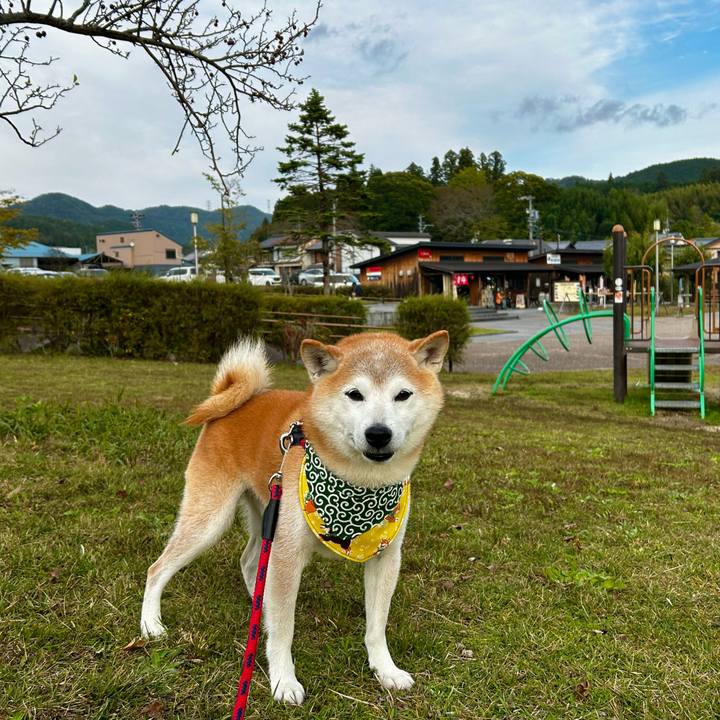 0c3570f2 4153 4db9 a3fa 65c078127924 1762082203251