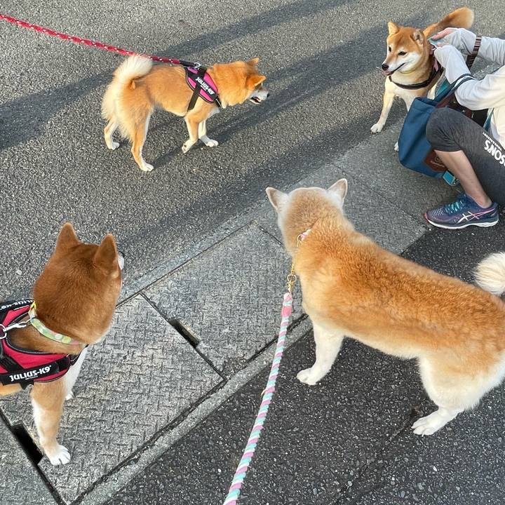 0c359e9e 1c74 4b06 bee7 c3033105195b 1662938501101