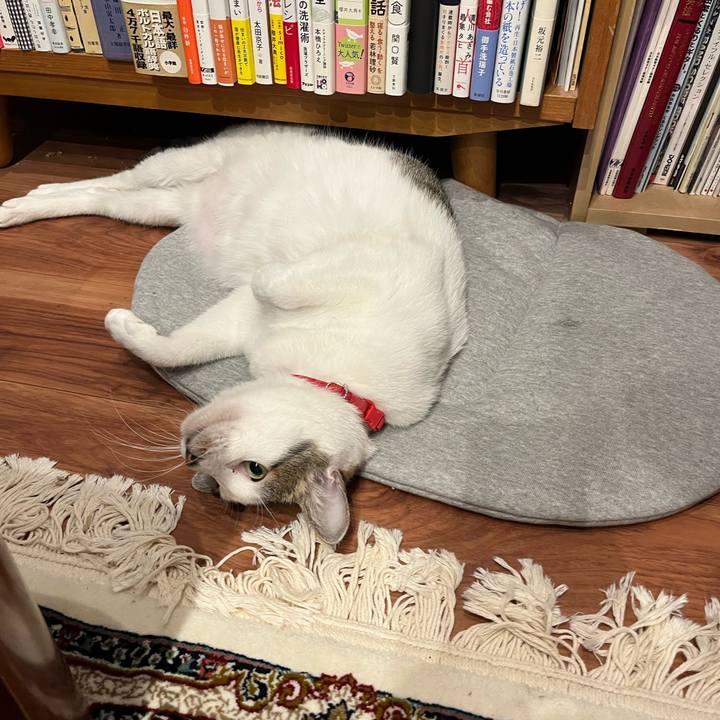 0c35dbbb 2f25 4cf5 bc6e 3765877f131e 1768141751638