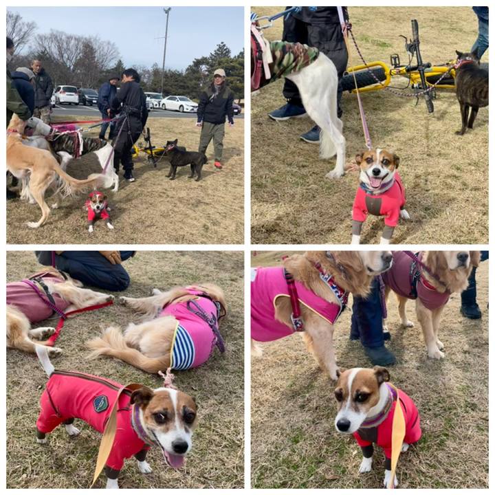 0c35e13a f87e 462a aa09 f086a26cf333 1739710394309