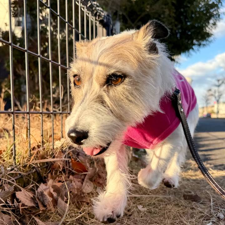 0c35f43c 93a9 45a4 9950 1ebef94d9dfd 1766763291262