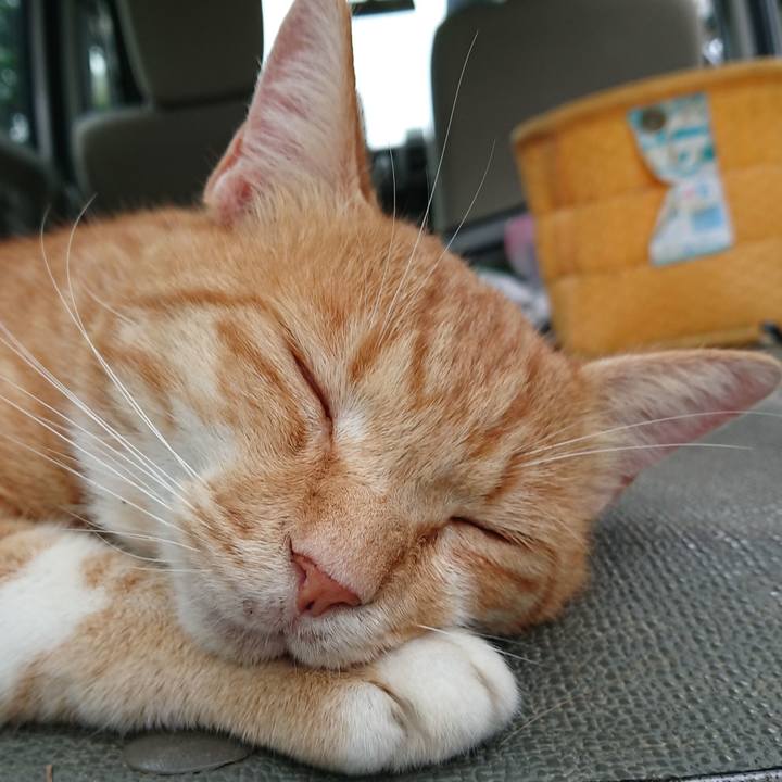 0c35f736 c438 46d2 b99f 962100938067 1595664661954