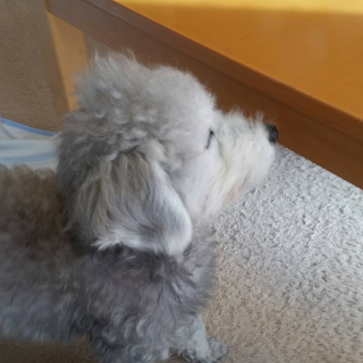 0c360ddd 99f8 47ff b6d6 8f1ede9ad827 1619171941950